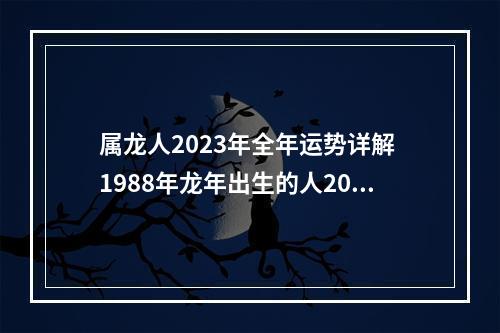 属龙人2023年全年运势详解 1988年龙年出生的人2023年运程