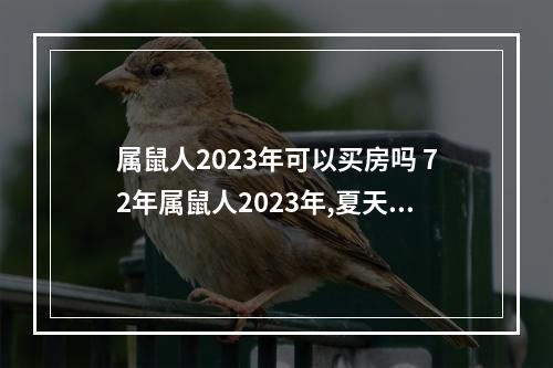 属鼠人2023年可以买房吗 72年属鼠人2023年,夏天的运气?