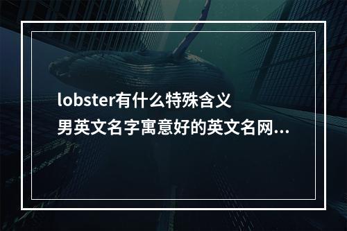 lobster有什么特殊含义 男英文名字寓意好的英文名网名