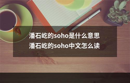 潘石屹的soho是什么意思 潘石屹的soho中文怎么读