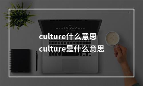 culture什么意思 culture是什么意思
