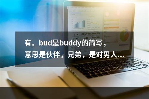 有。bud是buddy的简写，意思是伙伴，兄弟，是对男人或男孩比较亲近的随便称呼。 Buddy是什么意思英语