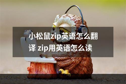 小松鼠zip英语怎么翻译 zip用英语怎么读