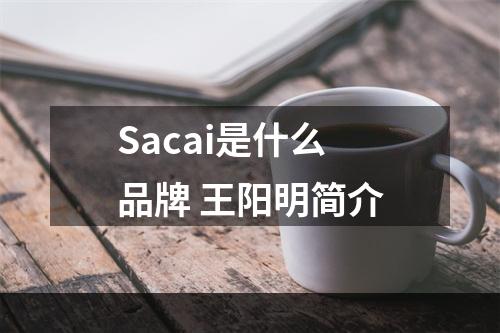 Sacai是什么品牌 王阳明简介