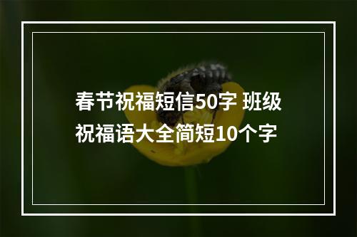 春节祝福短信50字 班级祝福语大全简短10个字