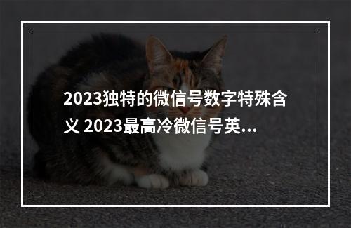 2023独特的微信号数字特殊含义 2023最高冷微信号英文