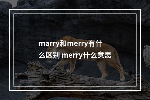 marry和merry有什么区别 merry什么意思
