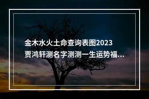金木水火土命查询表图2023 贾鸿轩测名字测测一生运势福禄