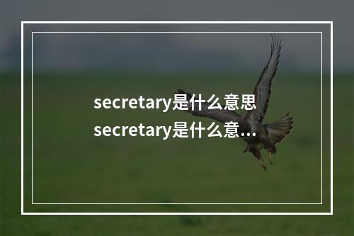 secretary是什么意思 secretary是什么意思