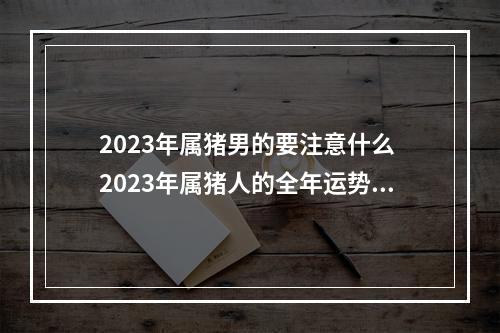 2023年属猪男的要注意什么 2023年属猪人的全年运势怎么样?