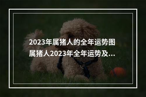 2023年属猪人的全年运势图 属猪人2023年全年运势及运程