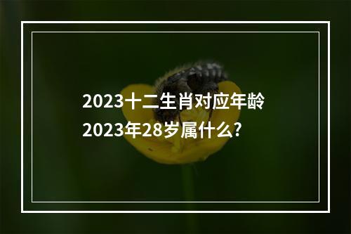 2023十二生肖对应年龄 2023年28岁属什么?