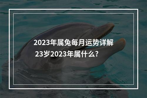 2023年属兔每月运势详解 23岁2023年属什么?