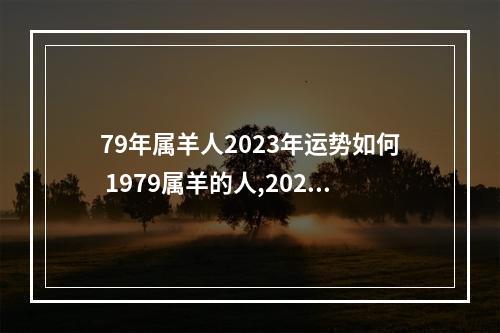 79年属羊人2023年运势如何 1979属羊的人,2023年运势好不好?