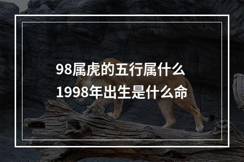 98属虎的五行属什么 1998年出生是什么命