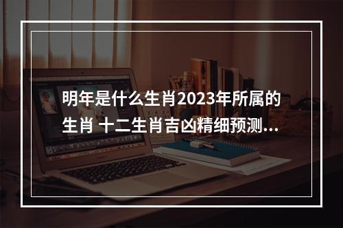 明年是什么生肖2023年所属的生肖 十二生肖吉凶精细预测2023