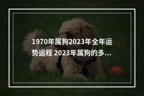 1970年属狗2023年全年运势运程 2023年属狗的多大了？