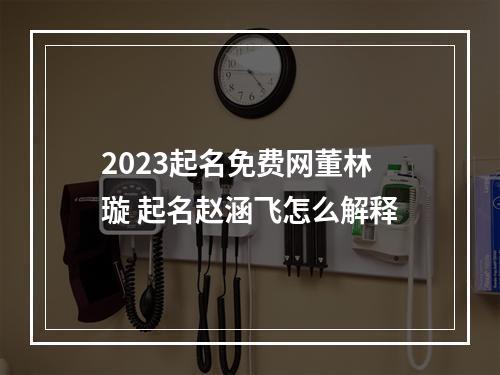 2023起名免费网董林璇 起名赵涵飞怎么解释
