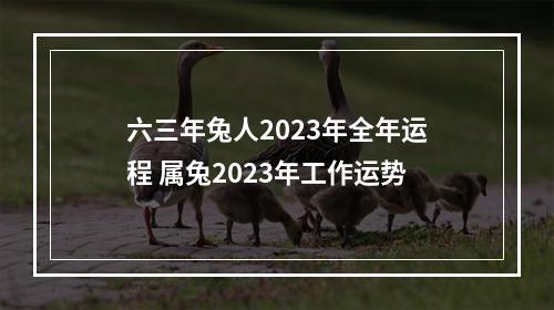 六三年兔人2023年全年运程 属兔2023年工作运势