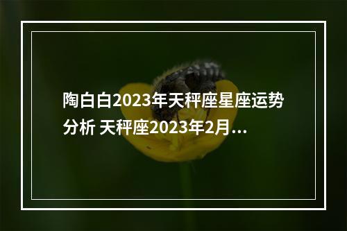 陶白白2023年天秤座星座运势分析 天秤座2023年2月运势，确实存在误会，没来得及和对方说清楚是吗？