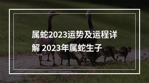 属蛇2023运势及运程详解 2023年属蛇生子
