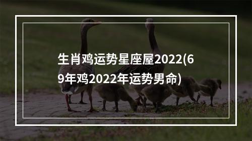 生肖鸡运势星座屋2022(69年鸡2022年运势男命)