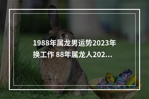 1988年属龙男运势2023年换工作 88年属龙人2023年的全年运势?