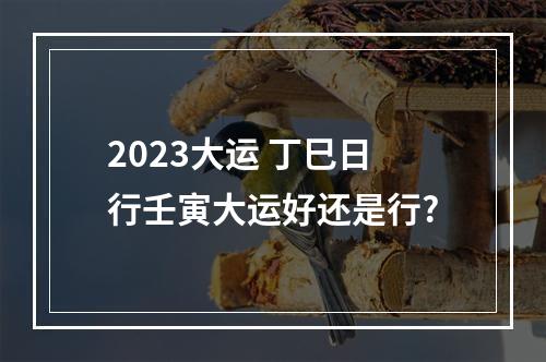 2023大运 丁巳日行壬寅大运好还是行?
