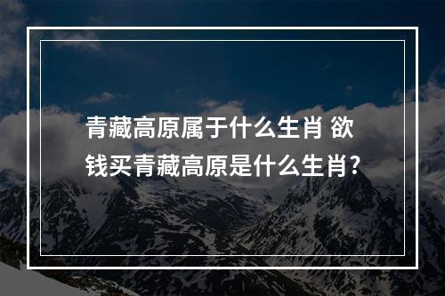 青藏高原属于什么生肖 欲钱买青藏高原是什么生肖?