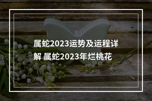 属蛇2023运势及运程详解 属蛇2023年烂桃花