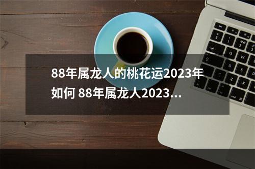 88年属龙人的桃花运2023年如何 88年属龙人2023年的全年运势?