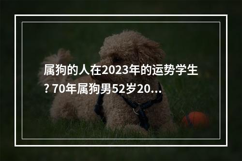 属狗的人在2023年的运势学生? 70年属狗男52岁2023姻缘