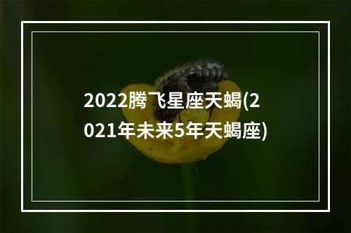 2022腾飞星座天蝎(2021年未来5年天蝎座)