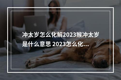 冲太岁怎么化解2023猴冲太岁是什么意思 2023怎么化太岁