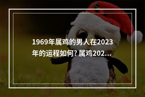 1969年属鸡的男人在2023年的运程如何? 属鸡2023运势详解