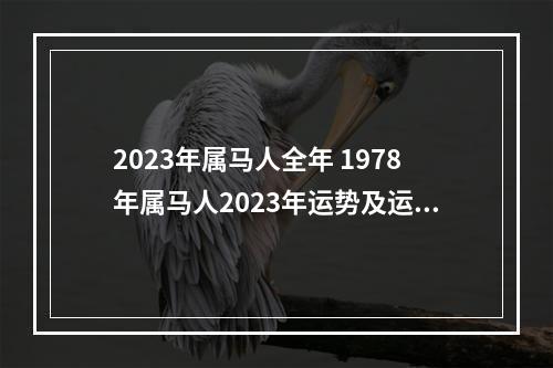 2023年属马人全年 1978年属马人2023年运势及运程