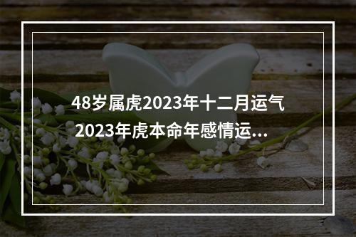 48岁属虎2023年十二月运气 2023年虎本命年感情运势