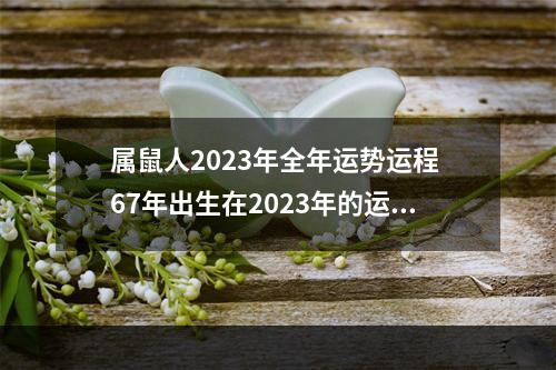 属鼠人2023年全年运势运程 67年出生在2023年的运程