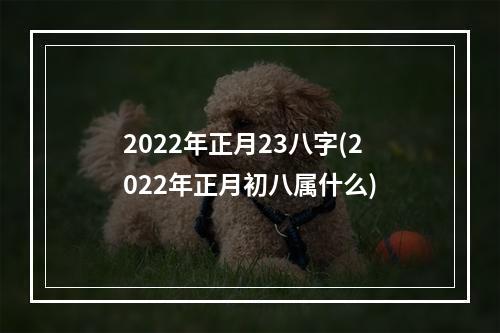 2022年正月23八字(2022年正月初八属什么)