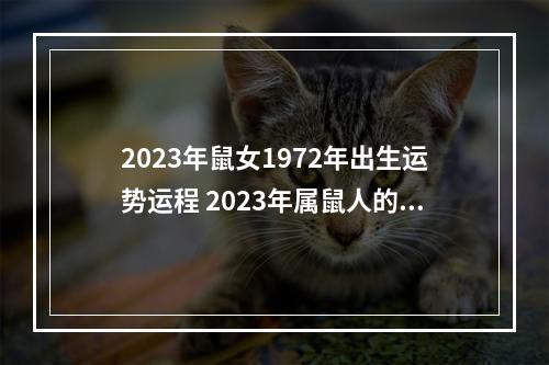 2023年鼠女1972年出生运势运程 2023年属鼠人的全年运势怎么样?