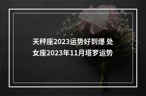 天秤座2023运势好到爆 处女座2023年11月塔罗运势