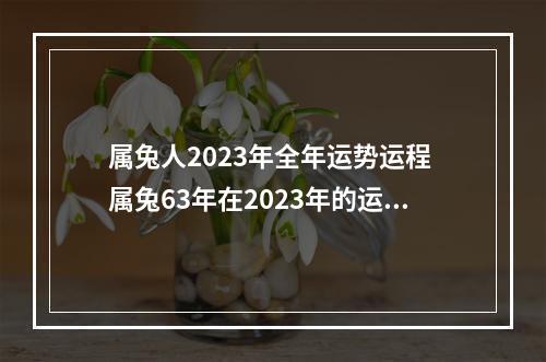 属兔人2023年全年运势运程 属兔63年在2023年的运程