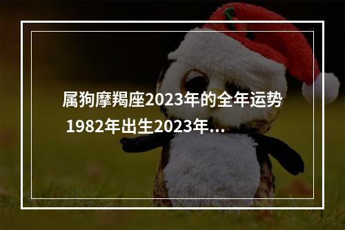 属狗摩羯座2023年的全年运势 1982年出生2023年属狗女全年运势?