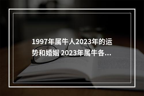 1997年属牛人2023年的运势和婚姻 2023年属牛各个时辰