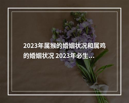 2023年属猴的婚姻状况和属鸡的婚姻状况 2023年必生儿子的属相