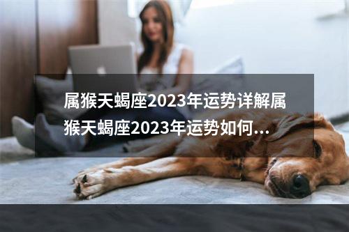 属猴天蝎座2023年运势详解属猴天蝎座2023年运势如何 2023年属猴白羊座全年运势详解