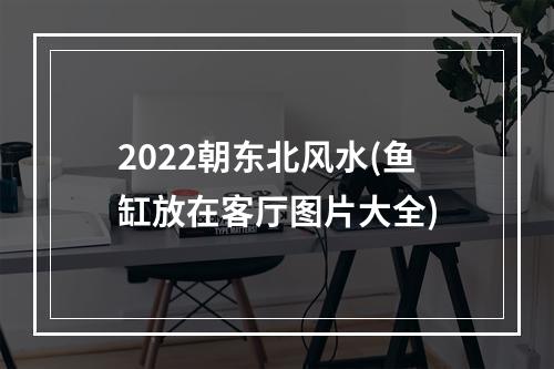 2022朝东北风水(鱼缸放在客厅图片大全)