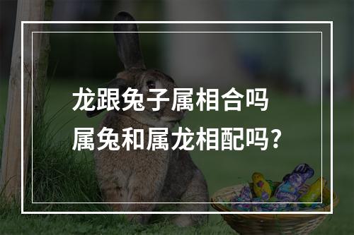 龙跟兔子属相合吗 属兔和属龙相配吗?