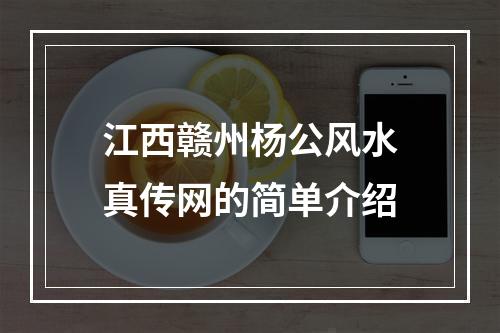 江西赣州杨公风水真传网的简单介绍