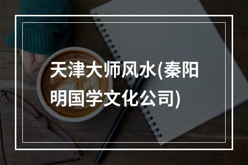 天津大师风水(秦阳明国学文化公司)